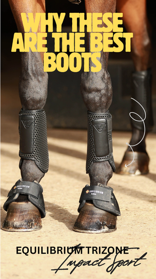 Why are Equilibrium Trizone Impact Sport & Tendon Boots So Impressive