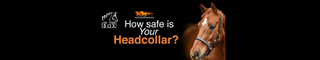 HOW SAFE IS YOUR HALTER