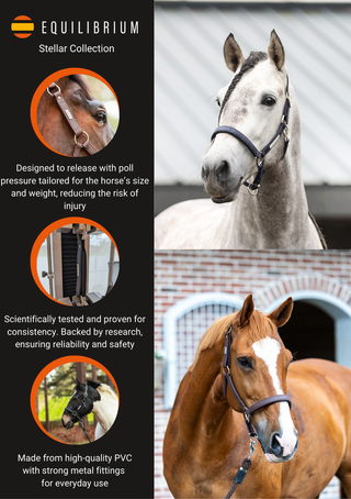 SAFETY FIRST - STELLAR HALTER BY EQUILIBRIUM PRODUCTS