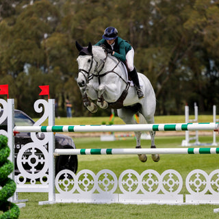 Horse in the Box Heads to the 2026 Boneo World Cup!