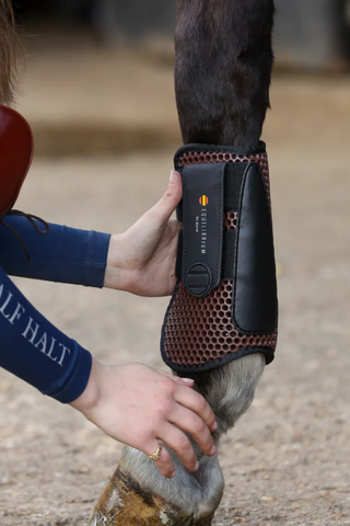 Equilibrium Open Front Tendon Boots