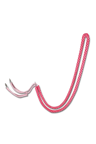 Waldhausen Lunging Aid