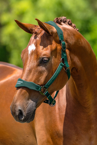 Equestrian Stockholm Anatomical Fleece Halter