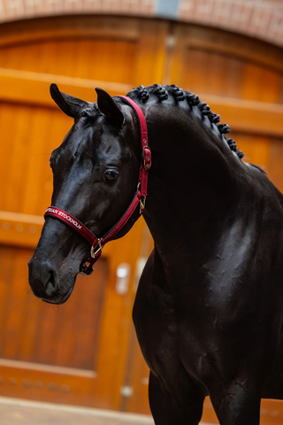 Equestrian Stockholm Line Halter