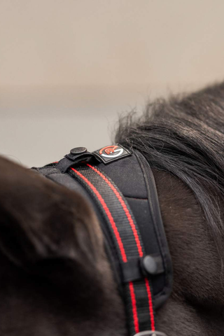 Horze Cairo Halter with Infra-Red