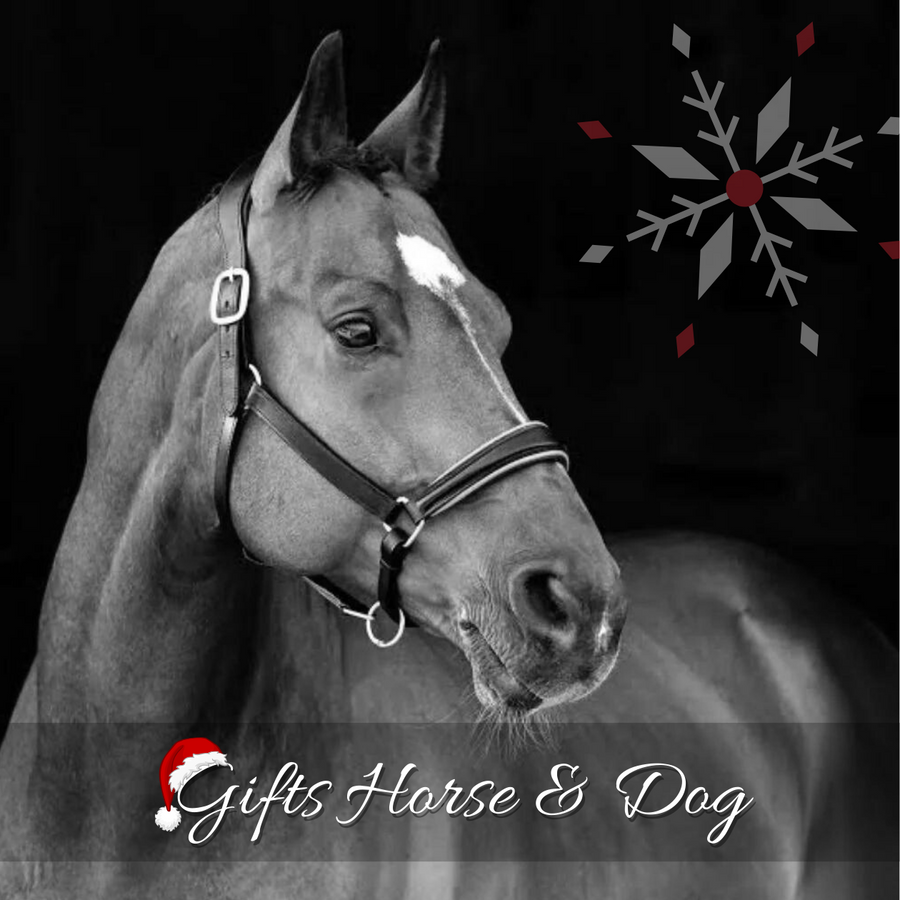 Horse in the Box Equestrian Clothing & Horse Riding Supplies