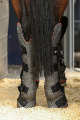 Equilibrium Magnetic Horse Hind & Hock Chaps