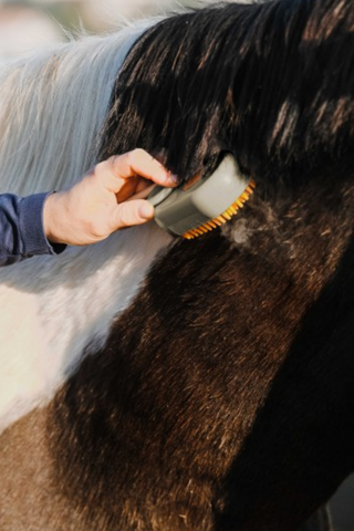 Hippotonic Steaming Brush