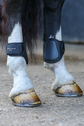 Equilibrium Tri-Zone Fetlock Boots