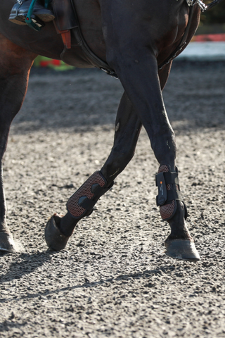 Equilibrium Open Front Tendon Boots
