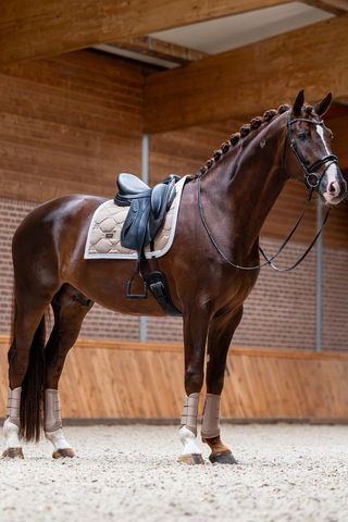 Equestrian Stockholm Dressage Saddle Pad Sand