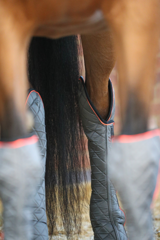 Equilibrium Magnetic Horse Hind & Hock Chaps