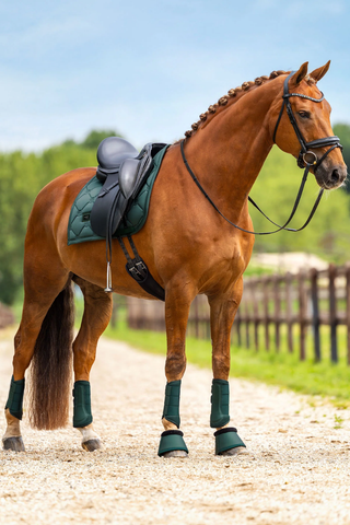 Equestrian Stockholm Bell Boots with Fur Sycamore Green
