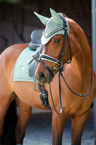 Equestrian Stockholm Dressage Saddle Pad Modern Mint Green