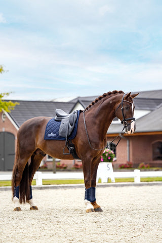Equestrian Stockholm Dressage Saddle Pad Line Navy