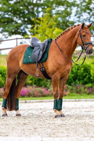 Equestrian Stockholm Dressage Saddle Pad Velvet Sycamore Green