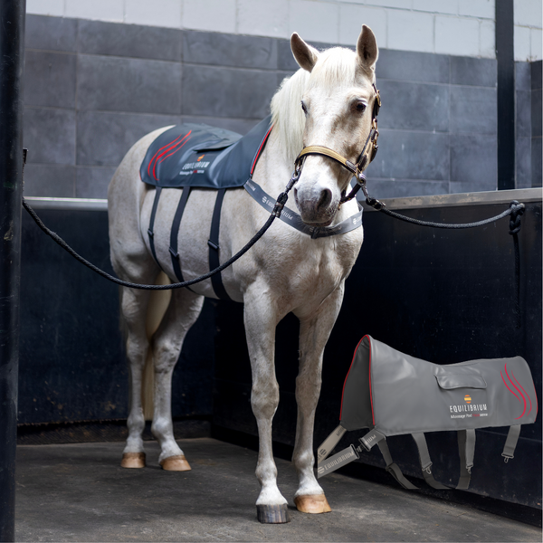 Equilibrium HeatSense Massage Pad - Horse in the Box
