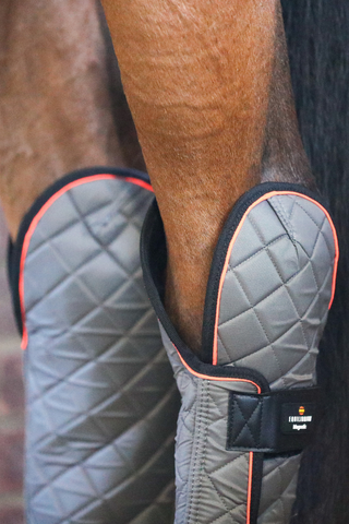 Equilibrium Magnetic Horse Hind & Hock Chaps