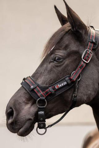 Horze Cairo Halter with Infra-Red