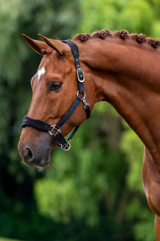 Equestrian Stockholm Anatomical Fleece Halter
