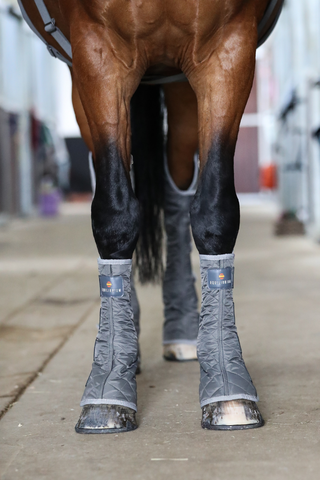 Equilibrium Magnetic Horse Chaps