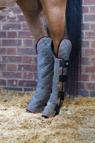 Equilibrium Magnetic Horse Hind & Hock Chaps