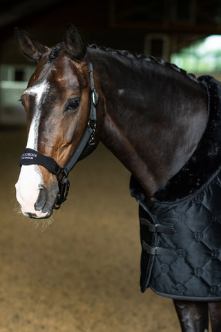 Equestrian Stockholm Anatomical Fleece Halter