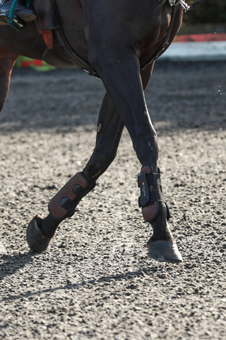 Equilibrium Open Front Tendon Boots