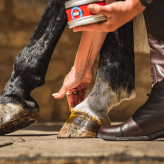 Carr Day and Martin Cornucrescine Original Hoof Ointment