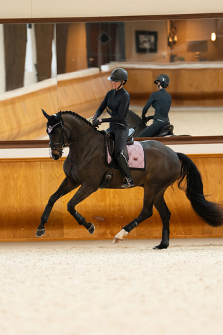 Equestrian Stockholm Dressage Saddle Pad Pink Glimmer