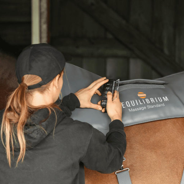 Equilibrium HeatSense Massage Pad Horse in the Box