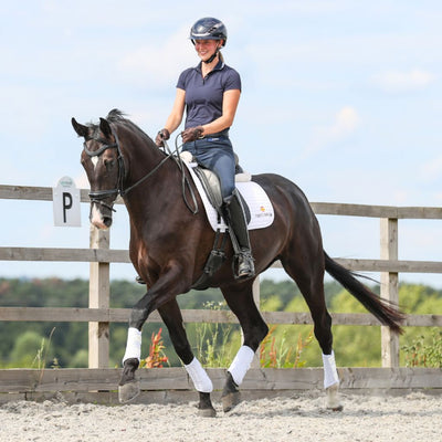 Equilibrium Stretch and Flex Flatwork Wraps NEW