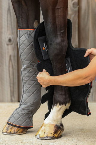Equilibrium Magnetic Horse Fore & Knee Chaps