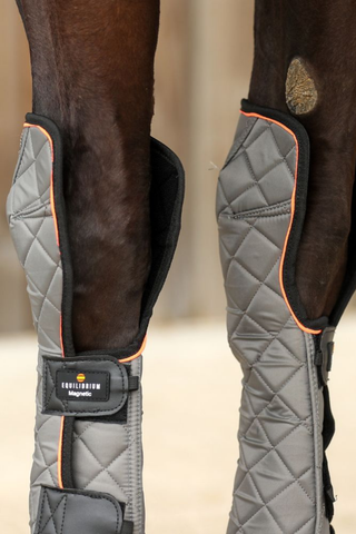 Equilibrium Magnetic Horse Fore & Knee Chaps