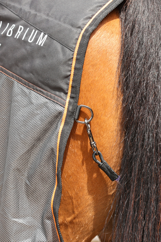 Equilibrium Therapy Magnetic Rug