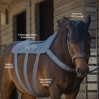 Equilibrium HeatSense Massage Pad PONY