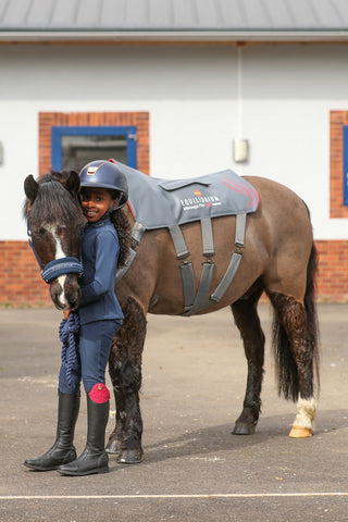 Equilibrium HeatSense Massage Pad PONY