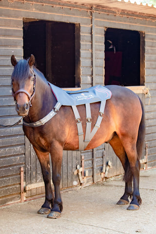 Equilibrium HeatSense Massage Pad PONY
