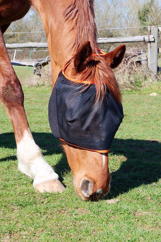 Equilibrium Field Relief Midi No Ears Fly Mask