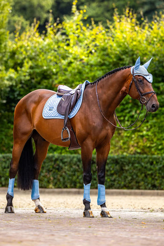 Equestrian Stockholm Mesh Brushing Boots Midsummer Blue