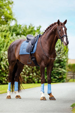 Equestrian Stockholm Dressage Saddle Pad Modern Midsummer Blue