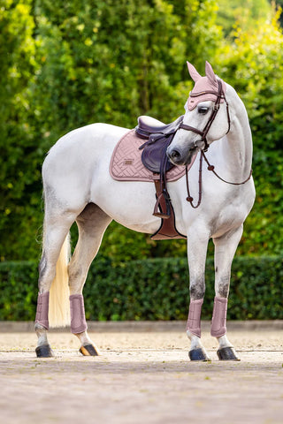 Equestrian Stockholm Mesh Brushing Boots Midsummer Blush