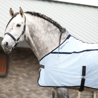 Equilibrium Quick Chill Cooling Rug