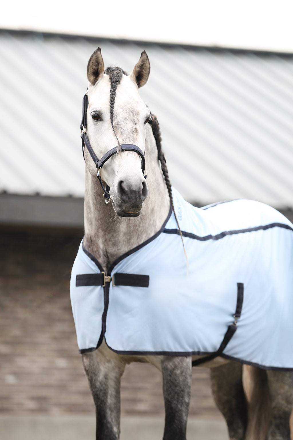 Equilibrium Quick Chill Cooling Rug – Horse in the Box