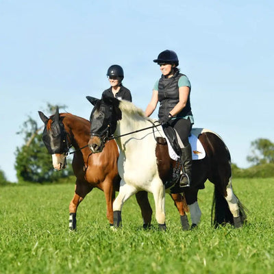 Equilibrium Net Relief Riding Fly Mask