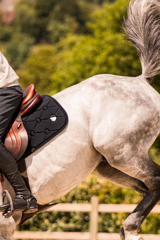 Samshield Spineshield Embroidery Jump Saddle Pad