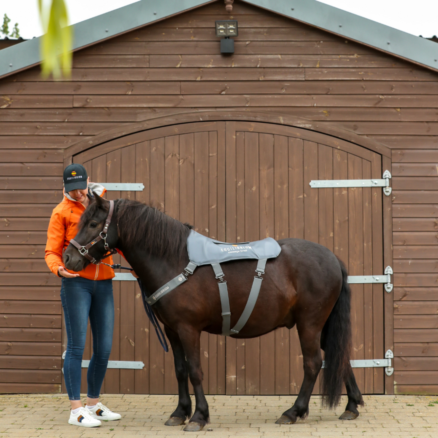 Equilibrium Horse Back Massage Pad PONY