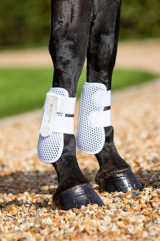 Equilibrium Open Front Tendon Boots
