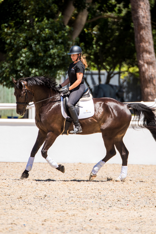 Equilibrium Stretch and Flex Training Wraps NEW