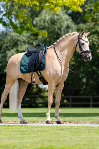 Equestrian Stockholm Dressage Saddle Pad Velvet Sycamore Green